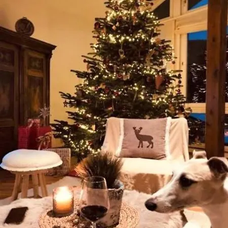 弗兰克兰德宫公寓 公寓