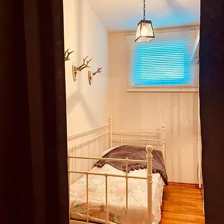 弗兰克兰德宫公寓 公寓 *