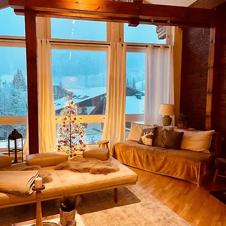 公寓 弗兰克兰德宫公寓 *