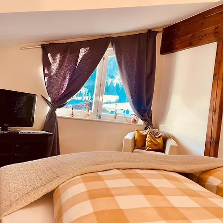 弗兰克兰德宫公寓 公寓 巴德小基希海姆