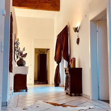 公寓 弗兰克兰德宫公寓 巴德小基希海姆